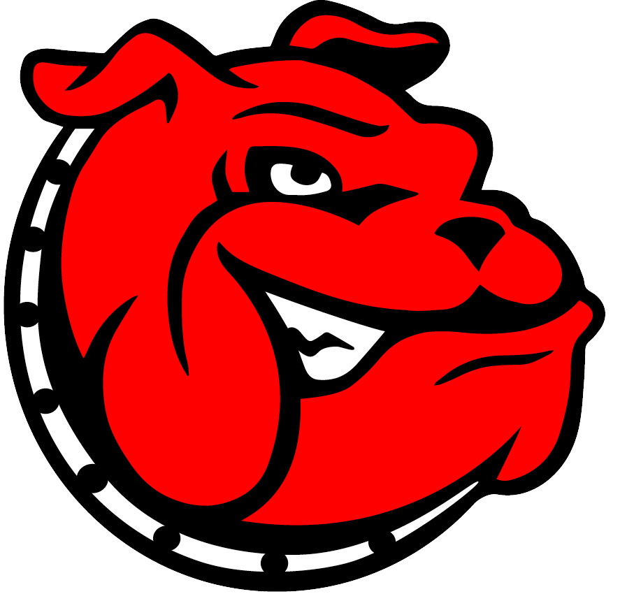logo IT Topdogs